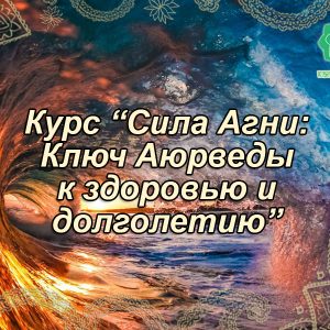 039 Курс «Сила Агні: Ключ Аюрведи до здоров’я та довголіття» - купити онлайн в магазині Vedic, фото 4