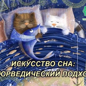 049 Курс «Мистецтво сну: аюрведичний підхід» - купити онлайн в магазині Vedic, фото 3