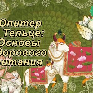 088 Майстер-клас «Юпітер у Тельці: Основи здорового харчування» - купити онлайн в магазині Vedic, фото 2